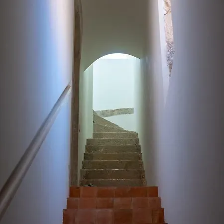 Convento Bernardas *