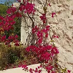 Convento Das Bernardas شقة
