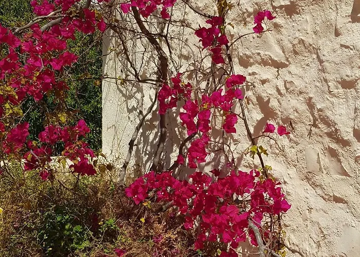 Convento Das Bernardas Apartamento